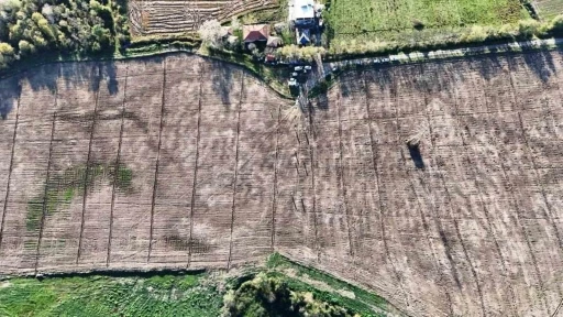 T&uuml;rkiye&rsquo;deki şehirler, Samsun&rsquo;da &uuml;retilen fidanlarla yeşerdi
