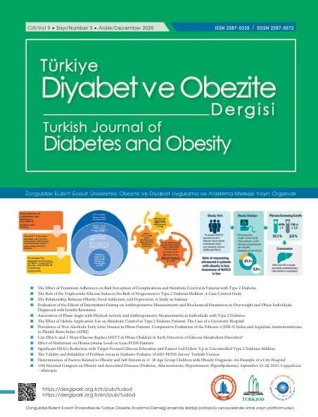 Türkiye Diyabet ve Obezite Dergisi’nin 2025 Aralık sayısı yayımlandı