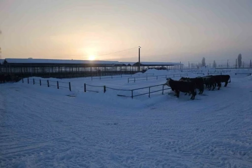 T&uuml;rkiye&rsquo;nin en b&uuml;y&uuml;k hayvan pazarı ağır kış şartları nedeniyle kapatıldı
