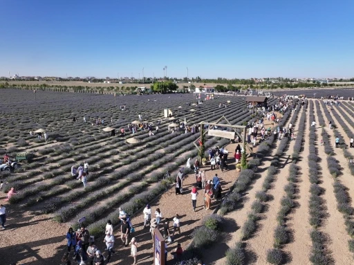 Türkiye’nin en büyük Lavanta Bahçesi’nde festival coşkusu
