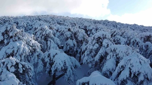 T&uuml;rkiye&rsquo;nin ilk Milli Parkı &Ccedil;amlık&rsquo;ta kar manzarası havadan g&ouml;r&uuml;nt&uuml;lendi

