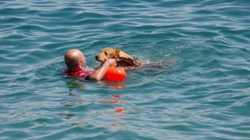 Türkiye’nin ilk sivil sualtı kurtarma köpeği Zeyna, görev için gün sayıyor
