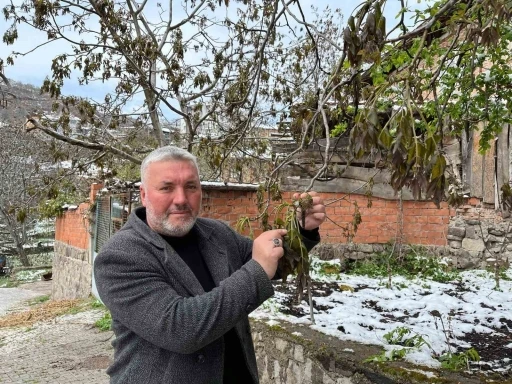 Türkiye’nin önemli ceviz üretim merkezini zirai don vurdu
