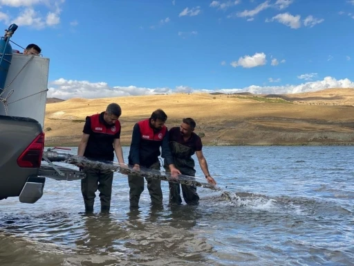 T&uuml;rkiye n&uuml;fusu kadar balık deniz ve g&ouml;llere bırakıldı
