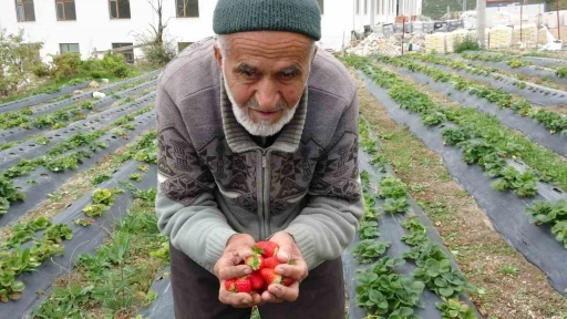 T&uuml;rkiye onu yoldan ge&ccedil;enlere bah&ccedil;esinden ikram ettiği meyvelerle tanıdı, bug&uuml;n acı haber geldi
