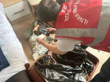 Türkiye’ye kaçak yolla getirilen yaklaşık 100 bin adet tıbbi sülük ele geçirildi
