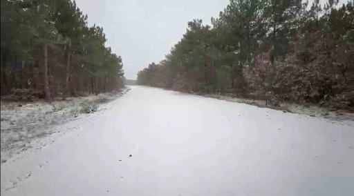 T&uuml;rkmendağı etekleri beyaza b&uuml;r&uuml;nd&uuml;
