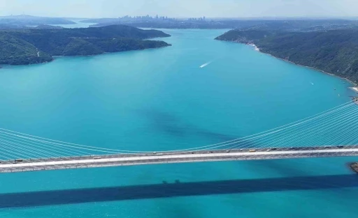 Turkuaza d&ouml;nen İstanbul boğazında yunuslar akın etti

