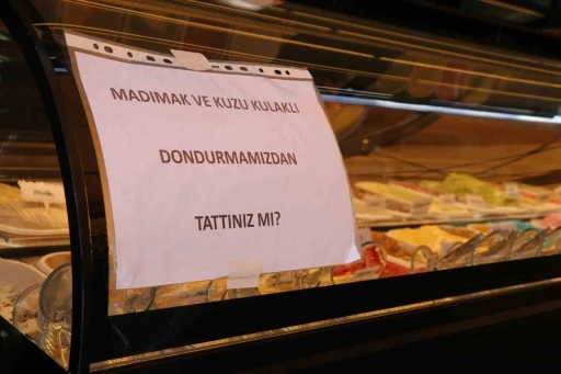 T&uuml;rk&uuml;lere konu olan madımakın dondurmasını yaptılar
