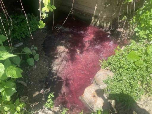 Turşu sulu renkli dereye çiftçiler de uzmanlar da tepkili
