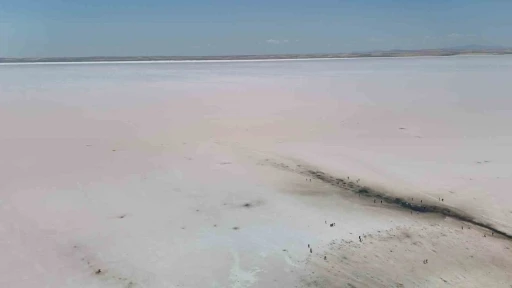 Tuz G&ouml;l&uuml; pembe renge b&uuml;r&uuml;nd&uuml;, turistler b&ouml;lgeye akın etti