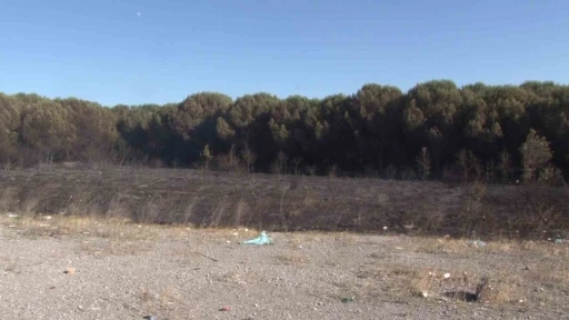 Tuzla’da otluk alanda çıkan yangın ormana sıçramadan söndürüldü
