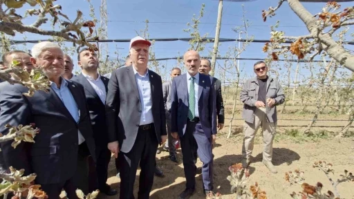 TZOB Başkanı Bayraktar: &quot;Zirai don ile büyük bir felaket yaşandı&quot;
