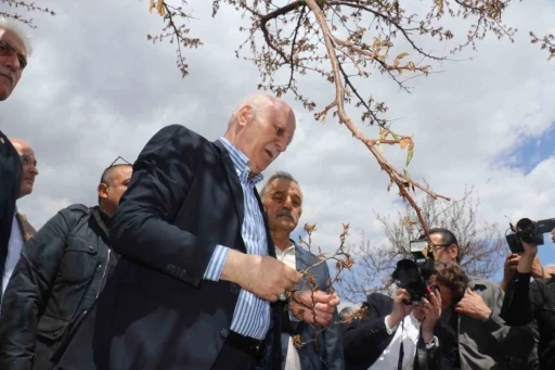 TZOB Genel Başkanı Bayraktar: &quot;Kayısıda yüzde yüzlere varan zarar tespit ettik&quot;

