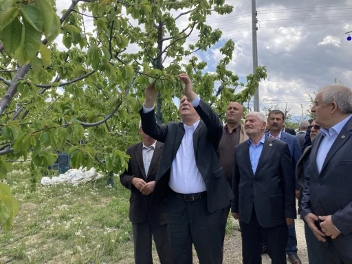 TZOB Genel Başkanı Şemsi Bayraktar: &quot;3 gün süren don olayı maalesef ürünlerimizi ve üreticimizi perişan etti&quot;
