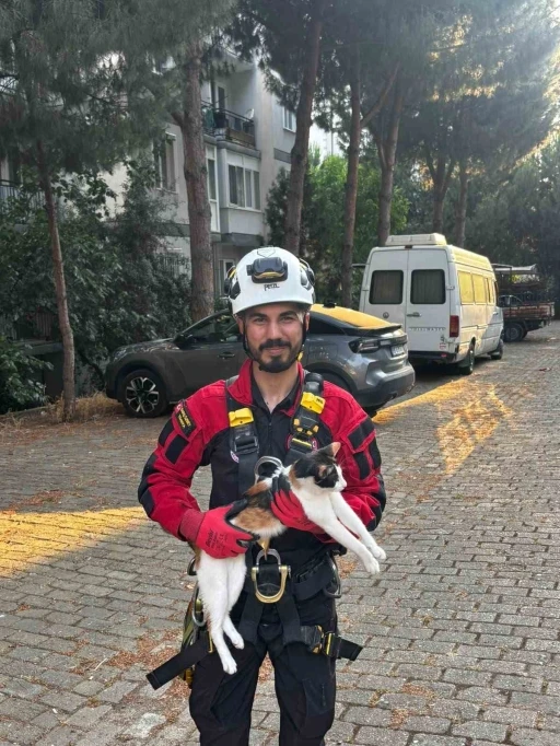 &Uuml;&ccedil; g&uuml;nd&uuml;r ağa&ccedil;ta mahsur kalan kedi kurtarıldı
