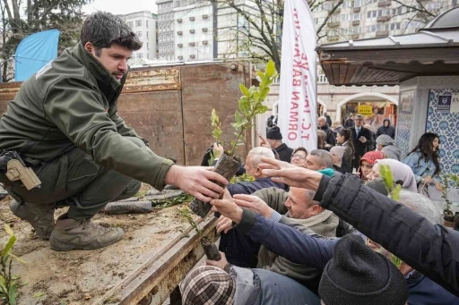 Ücretsiz fidana büyük ilgi
