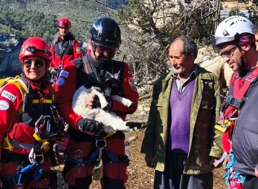 U&ccedil;urumdan d&uuml;şen kuzuyu ekipler kurtardı
