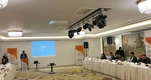 UGDD Y&ouml;netim Kurulu Başkanı Korkutata: "G&ouml;&ccedil; alanında &ccedil;alışan kurumlara ayrılan uluslararası fonlar y&uuml;zde 40 azaldı"
