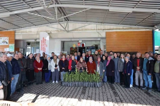 Ula&rsquo;da &uuml;reticilere 38 bin defne fidanı dağıtıldı
