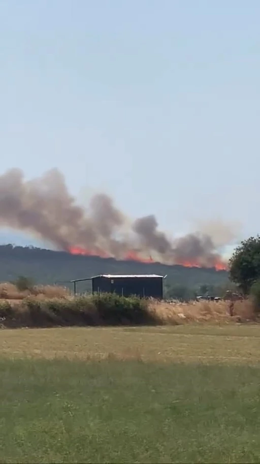 Uluabat Gölü’nden defalarca sorti yaptılar...Bursa’da iki ayrı noktada orman yangını

