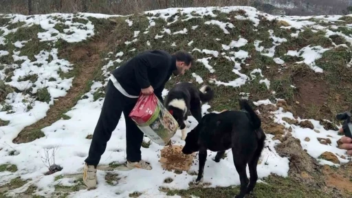 Uludağ&rsquo;da a&ccedil; kalan k&ouml;peklerin imdadına hayvanseverler yetişti
