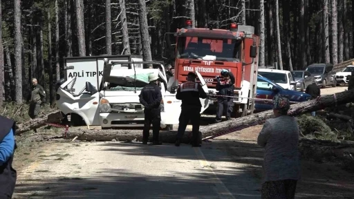 Uludağ&rsquo;da inanılmaz olay...Kesilen ağa&ccedil; seyir halindeki kamyonetin &uuml;zerine devrildi: 1 &ouml;l&uuml;
