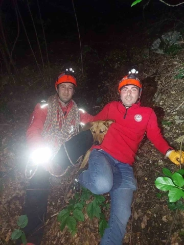 Uludağ’da kayanın üzerinde mahsur kalan köpeğe kurtarma operasyonu
