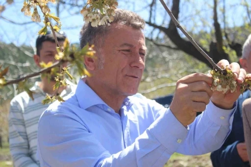Uludağ’ın güneyi dondu

