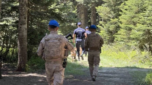 Uludağ&rsquo;ın z&uuml;mr&uuml;t yeşili ormanları Jandarma&rsquo;ya emanet
