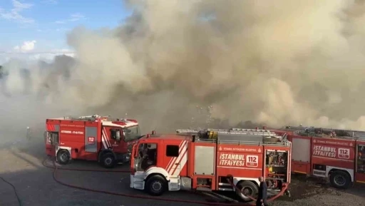&Uuml;mraniye&rsquo;de hayvan barınağı yakınında korkutan yangın
