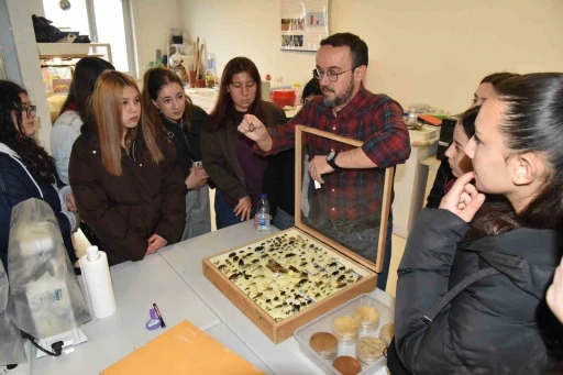 &Uuml;niversite adayı &ouml;ğrenciler D&uuml;zce &Uuml;niversitesi&rsquo;ni inceledi