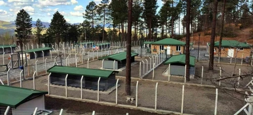 &Uuml;nye&rsquo;de sahipsiz hayvanlar i&ccedil;in &ouml;rnek tesis tamamlanıyor
