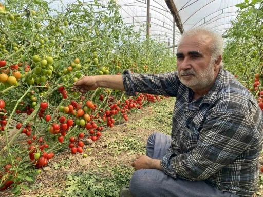 Üreticiden fiyat farkına tepki: &quot;Domates bizden 15 TL’ye alınıyor marketlerde 70 TL’ye satılıyor. Aradaki farkı kim yiyor&quot;
