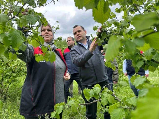 Üreticinin kayıpları tespit ediliyor
