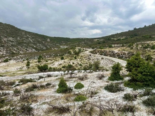 Uşak&rsquo;ın y&uuml;ksek kesimlerinde dolu yağışı etkili oldu
