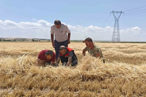 Uşak’ta tarım ekiplerinden biçerdöverlere sıkı denetim
