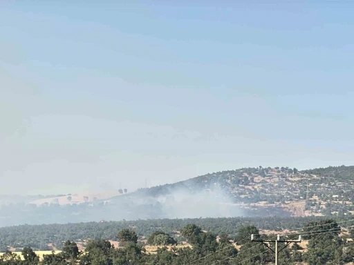 Uşak’taki meşelik alandaki yangına karadan müdahale devam ediyor
