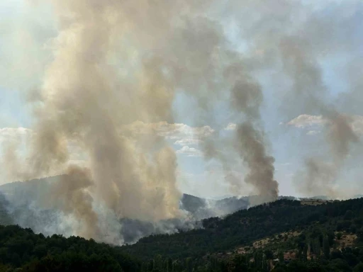 Uşak’taki orman yangınına havadan ve karadan müdahale devam ediyor
