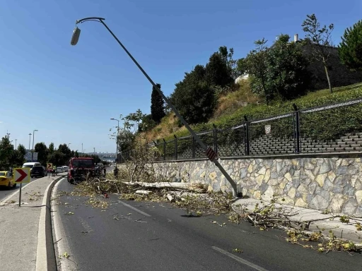 Üsküdar’da ağaç seyir halindeki otomobilin üzerine devrildi
