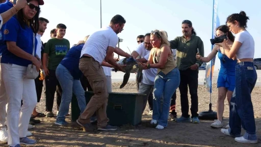 Uydu cihazı takılan kaplumbağa ’Atlas’ denize bırakıldı
