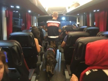 Uyuşturucu ile seyahate narkotik k&ouml;peği engeli
