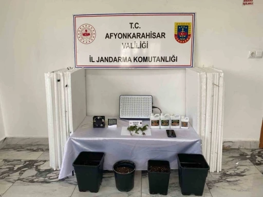 Uyuşturucu operasyonunda 1 kişi gözaltına alındı
