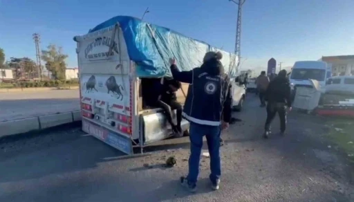 &Uuml;zeri hayvan dışkısıyla kapatılan kamyonetin gizli b&ouml;lmesinden ka&ccedil;ak g&ouml;&ccedil;men &ccedil;ıktı
