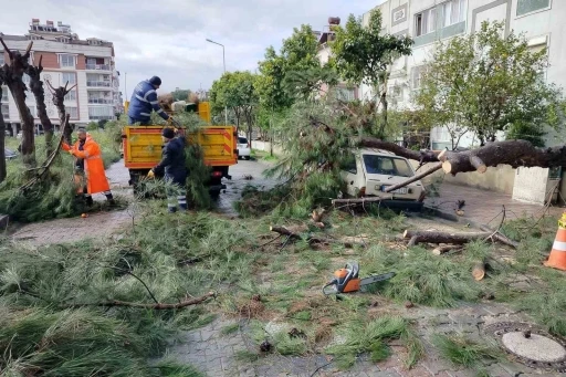 &Uuml;zerine ağa&ccedil; devrilen park halindeki ara&ccedil; zarar g&ouml;rd&uuml;
