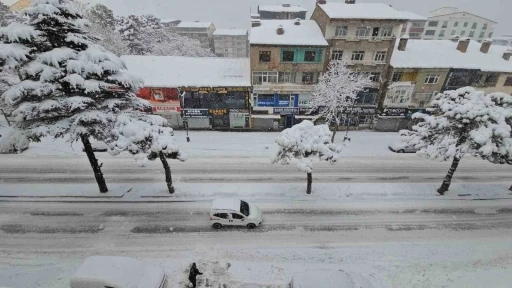 Uzmanından Bitlis i&ccedil;in "kar ve su hasadı" uyarısı
