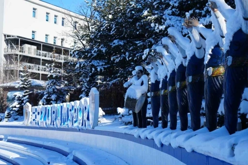 Uzmanlardan buzlanma ve don uyarısı
