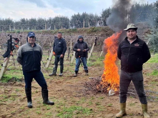&Uuml;z&uuml;m bağlarında zorlu budak mesaisi
