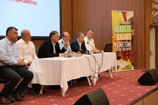 &Uuml;z&uuml;mc&uuml;n&uuml;n g&uuml;ndemi rekolte, kalıntı ve fiyat
