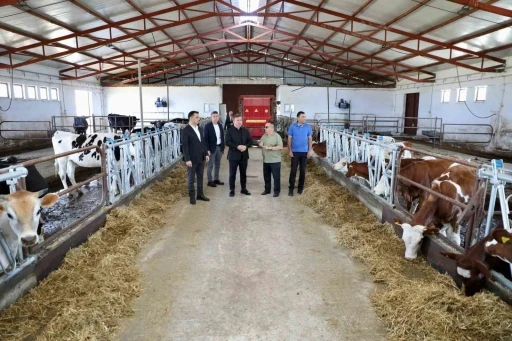 Vali Aydoğdu Düve Üretim Merkezi’nde incelemelerde bulundu
